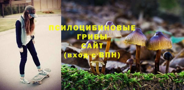 ГАЛЛЮЦИНОГЕННЫЕ ГРИБЫ Пролетарск